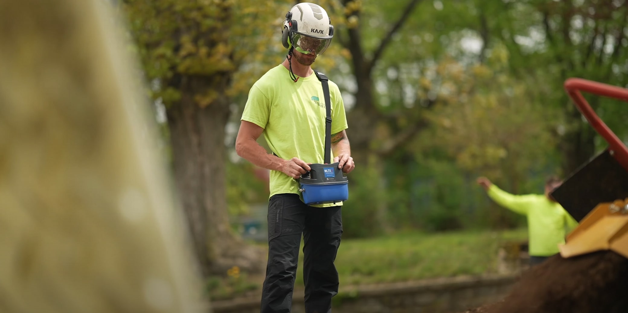 Tree health and maintenance service in South Whittier, CA