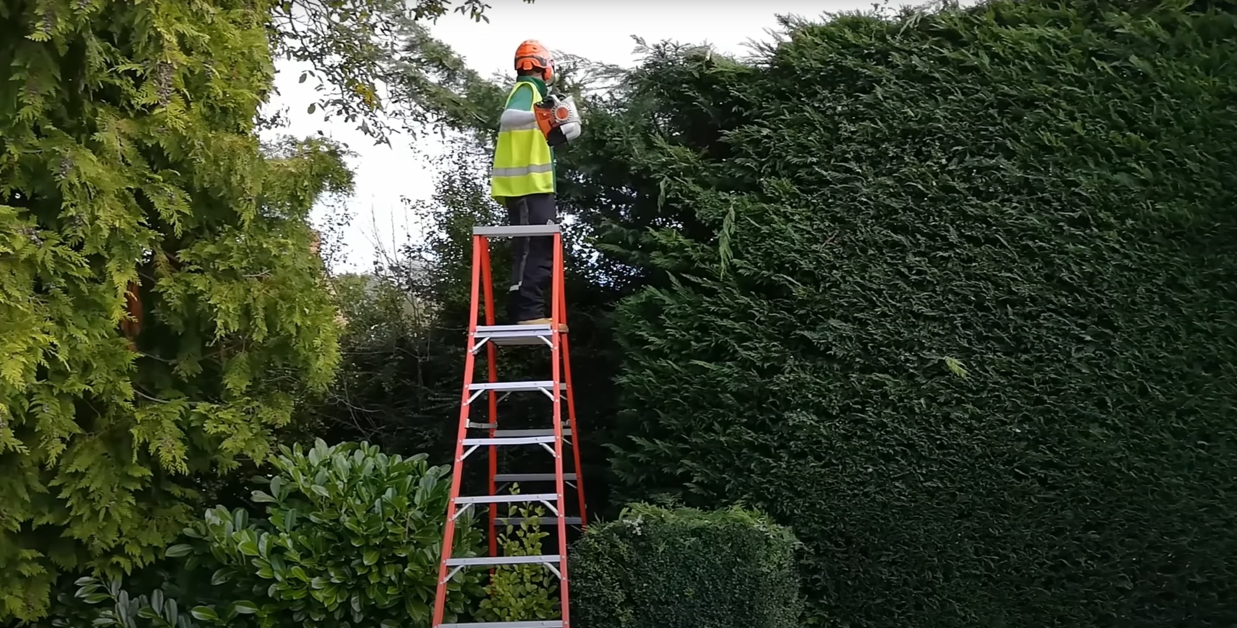 Tree trimming and pruning service in South Whittier, CA